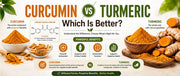 Curcumin vs Turmeric: Which Is Better?