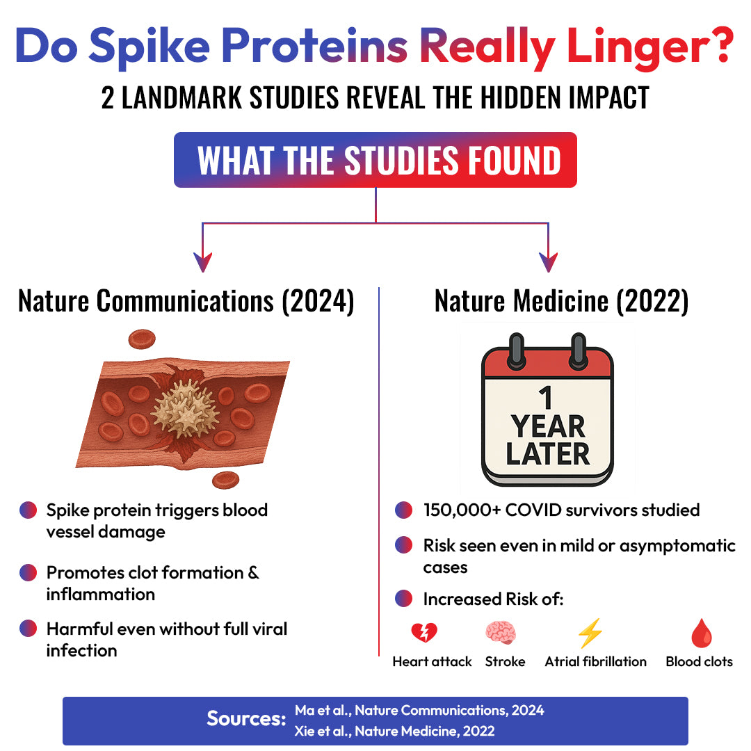 Spike Proteins Linked to Blood Clots & Heart Risk—Here’s the Evidence