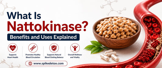 What Is Nattokinase? Benefits and Uses Explained