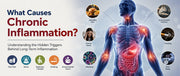 What Causes Chronic Inflammation?