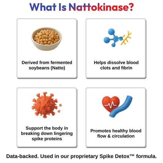 What Is Nattokinase & Why Is It in Spike Detox™?