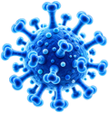 Immune Dysregulation