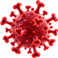 Microclot Research