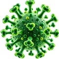 Viral Persistence Research