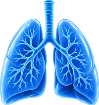 Shortness of Breath