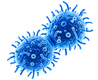 Spike Protein Reviews