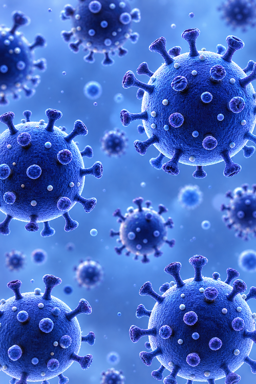 Natto Extract Directly Inhibits Viral Infections Including SARS-CoV-2