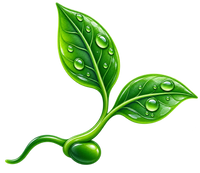 Curcumin Reviews