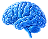 Neurological Symptoms