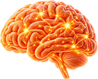 Neurological Symptoms