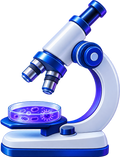 Systematic Reviews