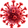Persistent Inflammation