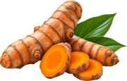 Curcumin Studies