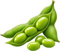Nattokinase