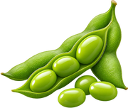 Nattokinase Studies